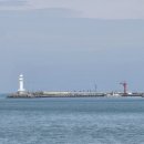 세파에 따르지 이미지