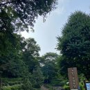 임학공원 장승 이미지