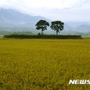 (주)들녘 이미지