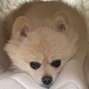 9월 셋째주 일상 평일엔 시체 주말엔 불나방!!