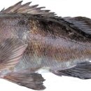 연계목장 이미지