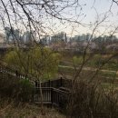 퀸코너주점 | 여름철 휴가지 음식점 등 위생.방역 점검결과 발표