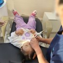 세천리더스치과의원 이미지