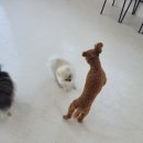 남악유치원 이미지