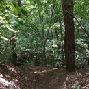 왕산1리 이미지