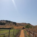 제주 용눈이오름-제주 동부 오르기 쉬운 오름 (주차, 소요시간 정보)