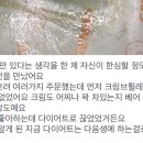 제네럴도넛샵 이미지
