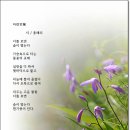 자란(紫蘭) / 홍해리 이미지