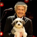 도그토피아 이미지