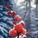 세꼬시회