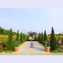 곡성-013 이미지