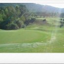 힐링골프 이미지