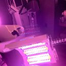 6177 | [수원] 모디슨 광교 : 친구랑 광교두피 모디슨 광교점에서 받은 리얼 두피관리 후기