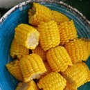 인생여행 | 세부 호핑투어 내돈내산 인생여행 후기!!