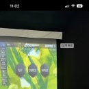 더콜프 골프스튜디오 이미지