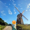 풍차언덕 | 경남 거제시 여행 필수코스인 바람의 언덕 풍차 방문 후기