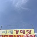 미래경매장
