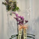 봉봉플레르