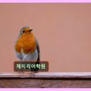 분당 정자동 영어교육 제이리어학원 체계적 수업과 열정 넘쳐