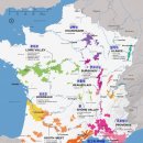 2002 | [와인리뷰] 224. 샤또 라뚜르(Chateau Latour) 2002 후기 | 20년은 어림도 없는 보르도 탑 와인