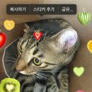 보름아 8월에 죽었다며 소식들었어