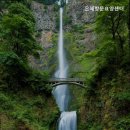 수원시 팔달구 팔달로110번길 | 부모님 위한 팔달구 추천 요양원 은혜방문요양센터 신뢰할 수 있는 요양원