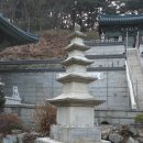마하사 - 1631 | 마하사