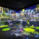 아일랜드 이미지