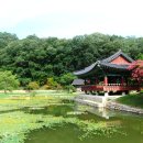 정으로사는세상을 이미지