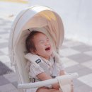 풍창카서비스 | 에이블 코지프리미엄 유아 트라이크 추천 언박싱 후기 예쁘고 편한 아기 트라이크