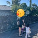 돌집 by 신대장 이미지