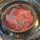 기장정관 맛집추천 잡내없는 생막창집 호호달구벌막창 정관점