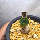 연월농장 이미지