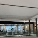 봄봄 | 고양한식뷔페 봄봄 향동동맛집 점심 후기