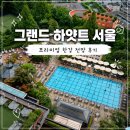 한강그린 | 그랜드 하얏트 서울 프리미엄 한강 전망 킹 후기 | 야외수영장, 델리, 발레파킹, 셔틀버스