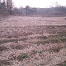 고은농장 이미지