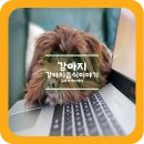 강아지사과 간식 덕분에 행복한 미소 가득