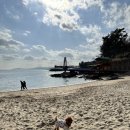 디어올리 이미지