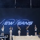 롤링버니즈 이미지