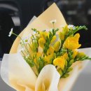 제이라온FLOWER 네이버블로그