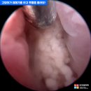 용강동물병원 이미지