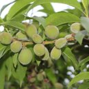 덕호농장 이미지