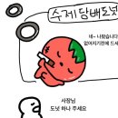 [260530 발행] 또 머그상 받았어요(쓰라구해서.. 씀) + 일상유출!