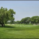 서경골프 이미지