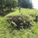 오류2리 이미지