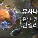 도연인터내셔널