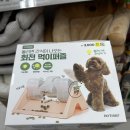 다이소 강아지 장난감 푸드퍼즐 | 행동풍부화 용으로 샀지만 약간 실패 후기(추천하는 강쥐친구들)