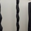 디자이너T