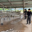 조은염소농장 이미지