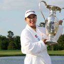 메이저PC 이미지